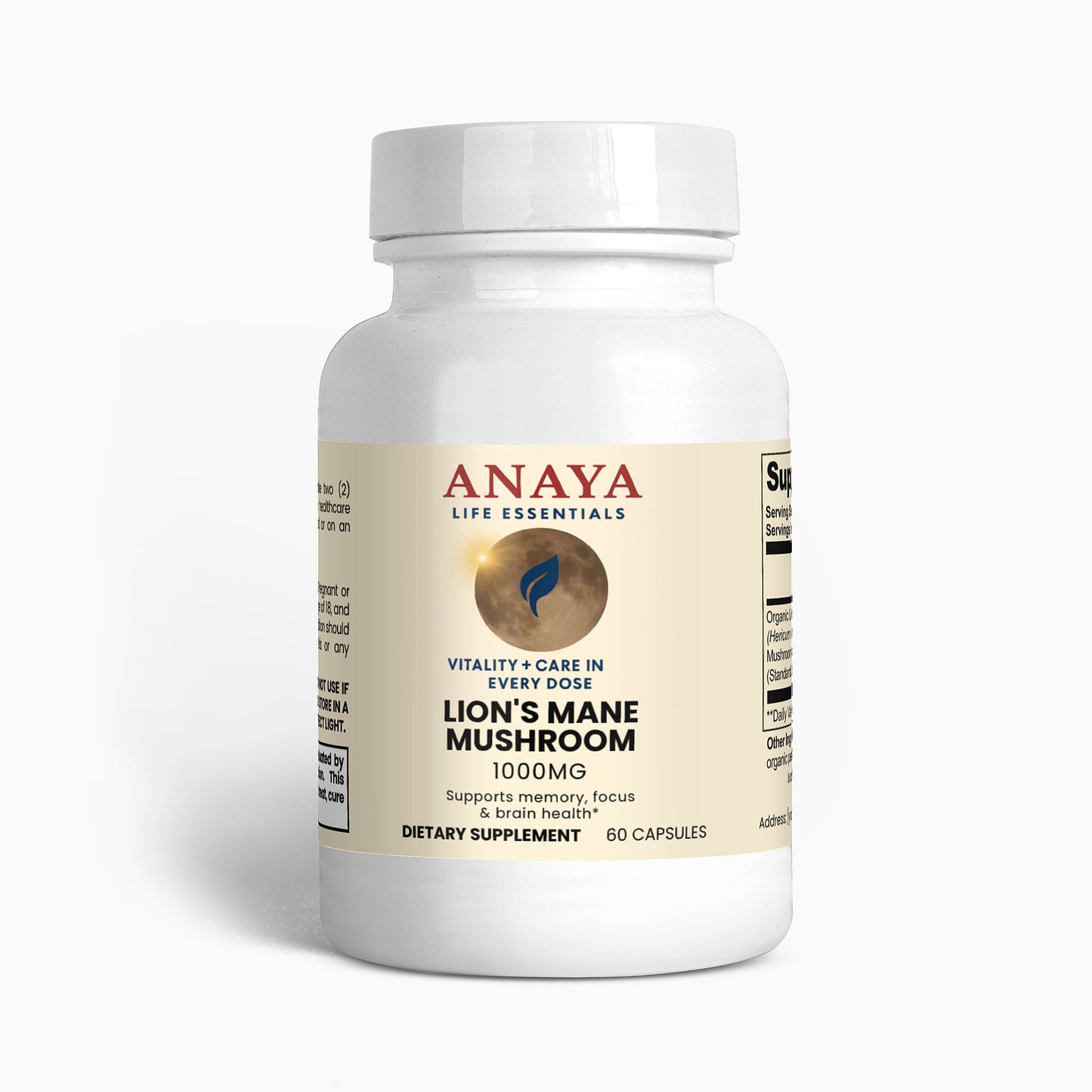 Lion's Mane Mushroom