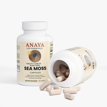 Sea Moss